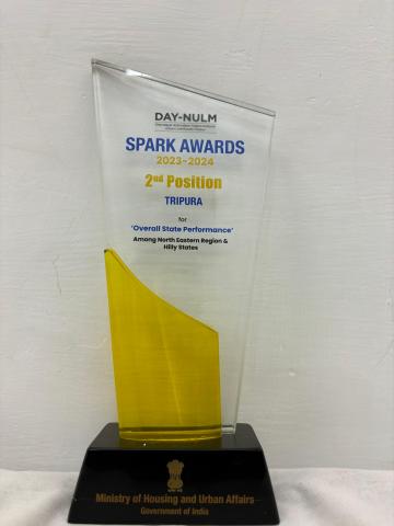 Spark Award