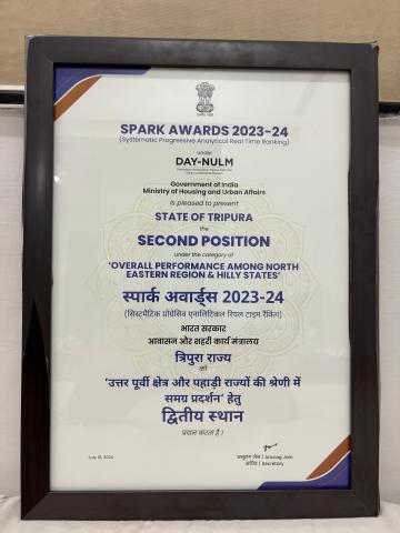 Spark Award